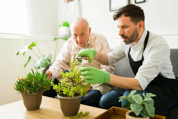 Jeune Homme Faisant Jardinage Aidant Son Père Âgé Prendre Soin — Photo