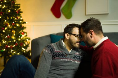 Romantik eşcinsel çift alınlarına dokunuyor ve evlerindeki Noel ağacının yanında sevimli bir anı paylaşıyorlar.