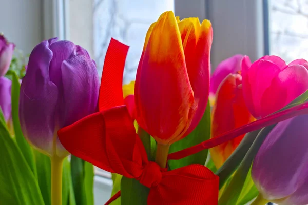Bukiet Kwitnących Tulipanów Gratuluję Wakacji — Zdjęcie stockowe