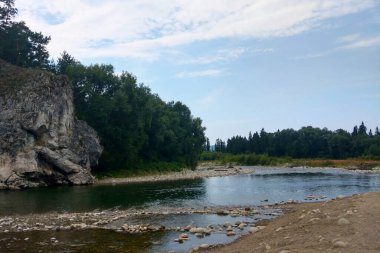 Bulutlu bir sonbahar gününde küçük bir dağ nehri.