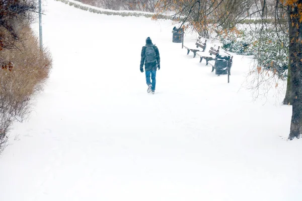 Ein Mann Geht Einem Verschneiten Wintertag Park Spazieren — Stockfoto