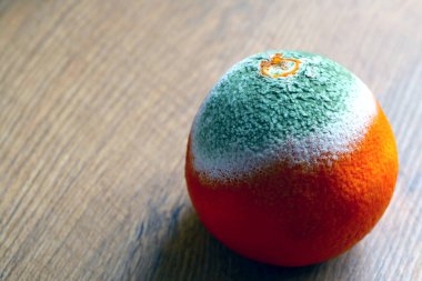 Masada bozulmuş turuncu