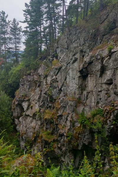 Los Árboles Crecen Una Roca Una Zona Montañosa — Foto de Stock