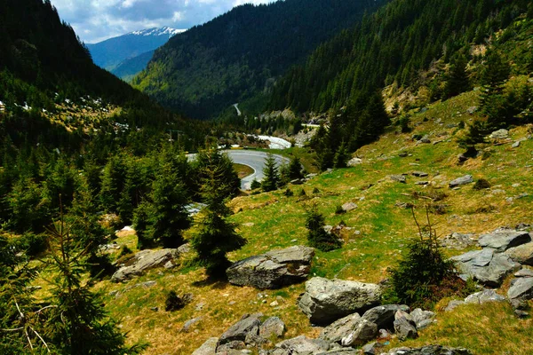 Живописная Горная Дорога Высоко Горах Румынии — стоковое фото