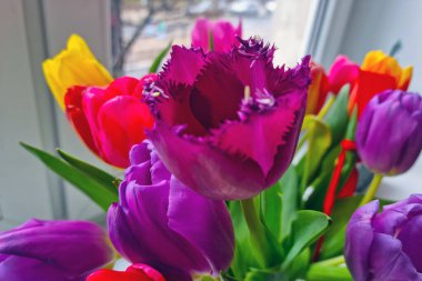 Çiçek açan çok renkli lalelerin bir buketteki görüntüsü