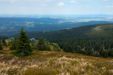 Dağ Dalinasının güzel manzarası