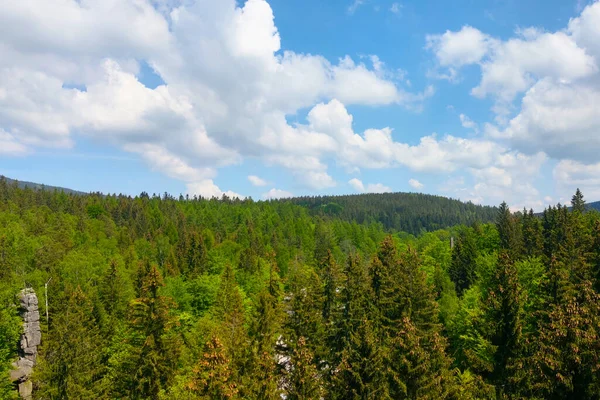 Γραφική Όμορφη Θέα Των Πράσινων Δέντρων Και Του Γαλάζιου Ουρανού — Φωτογραφία Αρχείου