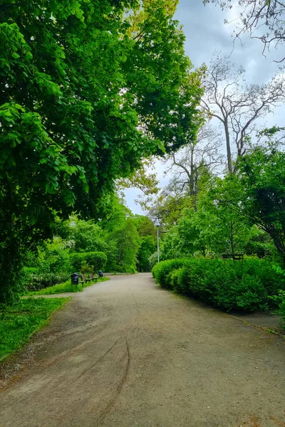 Hermoso Parque Verde Joven Para Caminar Recreación — Foto de Stock