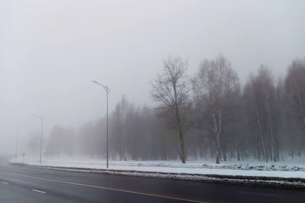 Ködös Téli Reggel Egy Felhős Napon Hideg Idő Kezdete — Stock Fotó