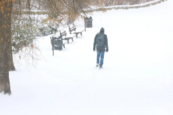 Ein Mann Geht Einem Verschneiten Tag Durch Den Park Unscharf — Stockfoto