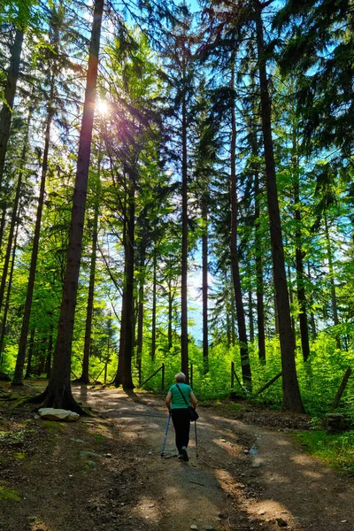一位老年妇女走过森林和群山 积极的生活方式 健康运动 — 图库照片