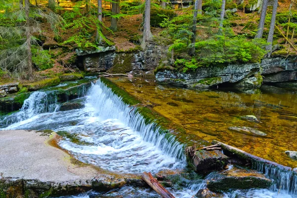 Liten Bergsflod Rinner Ner Grön Skog — Stockfoto