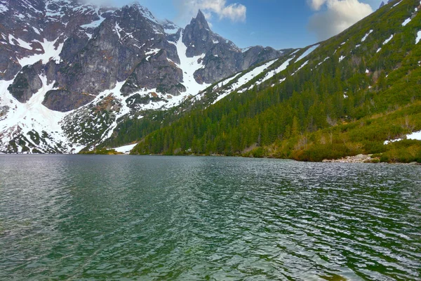 Schöne Aussicht Auf Den Bergsee Und Den Grünen Wald — Stockfoto