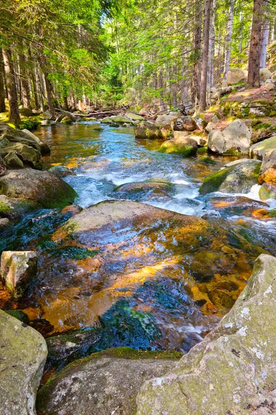 Malá Horská Řeka Teče Přes Skály Lese — Stock fotografie