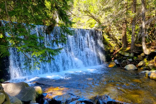晴れた日に森の中の小さな滝 — ストック写真