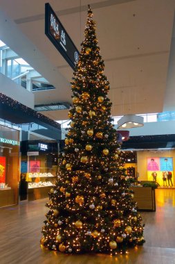 Wroclaw, Polonya, 27 Kasım 2022: Güzel parlak Noel ağacı. Noel ve Yeni Yıl başlangıcı