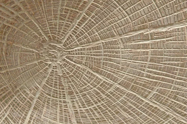 Latar Belakang Yang Indah Dari Kain Kertas Atau Batang Pohon — Stok Foto