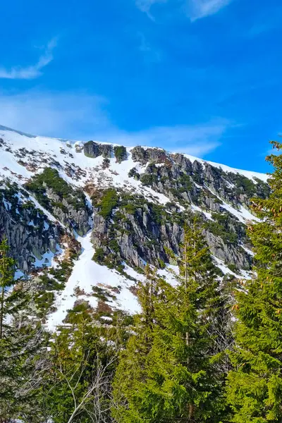 群山的顶上 白雪映衬着蓝天 — 图库照片