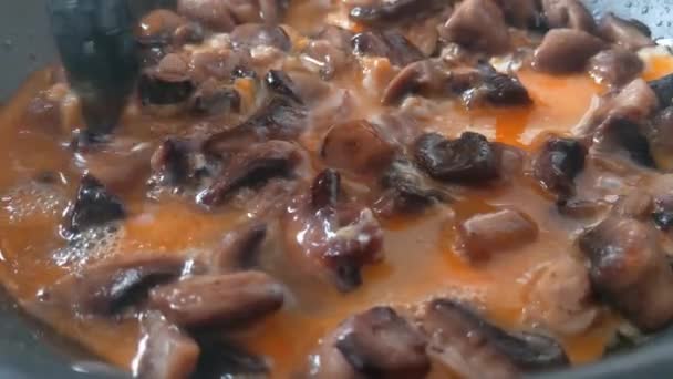 Eieren koken met champignons in een koekenpan. Snel ontbijt. — Stockvideo