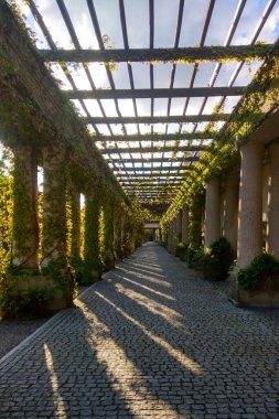 Yürüyüş için güzel bir beton yapı.