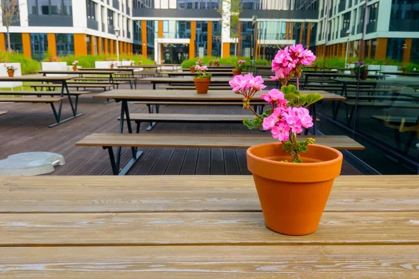 Mesa Hay Una Maceta Con Una Flor Floreciente — Foto de Stock