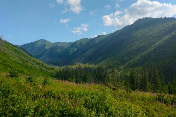 Belle Vue Panoramique Sur Les Pentes Montagne Par Une Journée — Photo