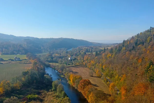 Ein Malerischer Blick Aus Der Höhe Des Gelben Herbstwaldes Und — Stockfoto