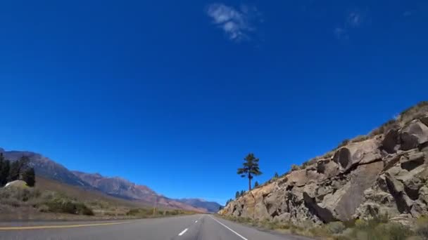 Uma Vista Incrível Viagem Carro Carro Vai Por Uma Estrada — Vídeo de Stock