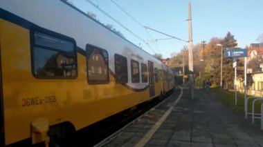 Geceleri yaya geçidinde trafik ışıklarının altında çalışıyorum. Sokak lambası. Yol güvenliği