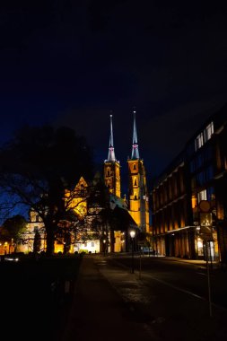 Wroclaw, Polonya, 12 Ekim 2021: Wroclaw 'da gece Katedrali manzarası