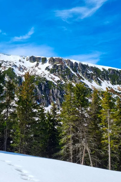 Güneşli bir günde, dağın karla kaplı zirveleri mavi gökyüzüne karşı
