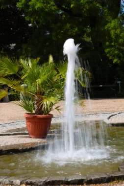 Güneşli bir günde parkta küçük bir çeşme.