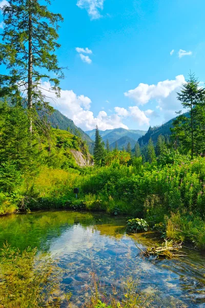 Picturesque Mountain Landscape Sunny Summer Day — стоковое фото