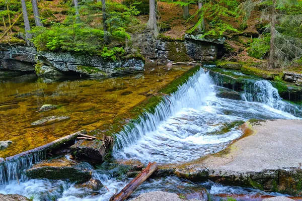 Small River Flows Forest Mountains Pure Clear Cold Water Scenic — Zdjęcie stockowe