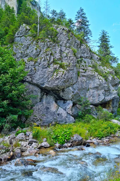 Ένα Μικρό Ορεινό Ποτάμι Ρέει Στο Βάθος Του Βουνού — Φωτογραφία Αρχείου
