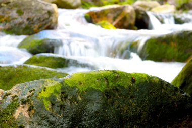 Bulanık bir arka plan, dağlardaki taşların arasından akan bir nehir.