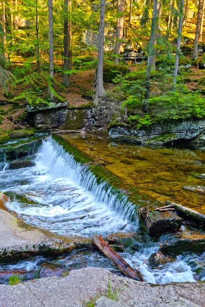 Festői erdei táj. Egy kis hegyi folyó folyik át a köveken.. — Stock Fotó