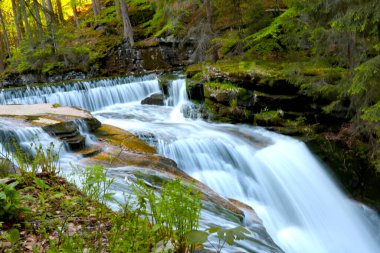 Odak dışı, bulanık arka plan, yeşil bir ormanda akan dağ nehri.