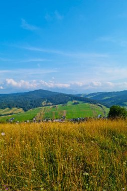 Dikey fotoğraf. Kırsalda pitoresk bir dağ manzarası
