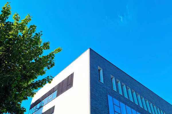 Árbol Verde Edificio Moderno Contra Cielo Azul — Foto de Stock