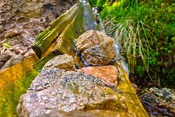 Riacho Flui Através Das Rochas Cavado Madeira Floresta — Fotografia de Stock