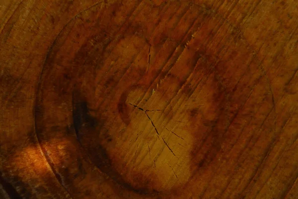 나무를 클로즈업 갈색줄서서 — 스톡 사진