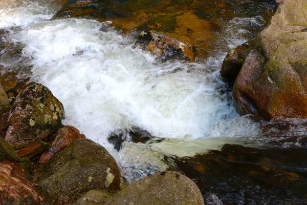Vista Superior Água Caindo Uma Cachoeira Floresta Foco Seletivo — Fotografia de Stock