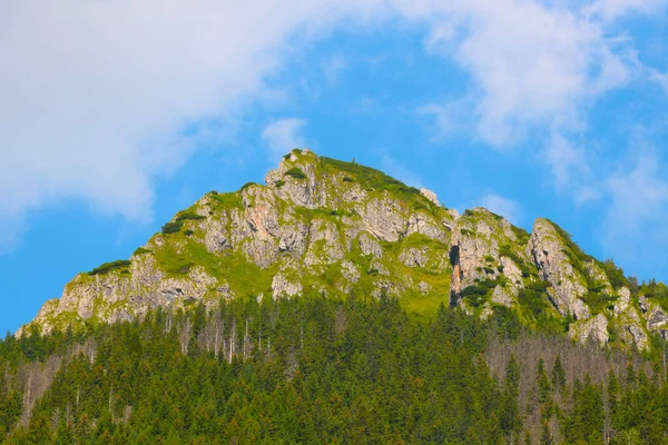 Mavi gökyüzüne karşı güzel yeşil dağlar