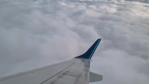 Vue Depuis Fenêtre Avion Sur Aile Dessus Des Nuages Une — Video