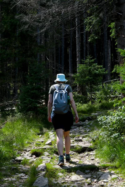 一个背着背包的女孩在森林里的山路上爬山 — 图库照片