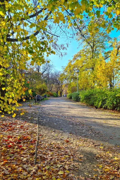 Sonbaharda güzel bir sonbahar manzarası. Doğanın arka planı