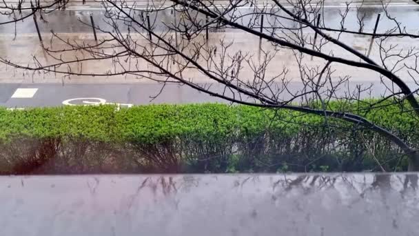 Utanför Fönstret Faller Regn Och Slask Oväder — Stockvideo