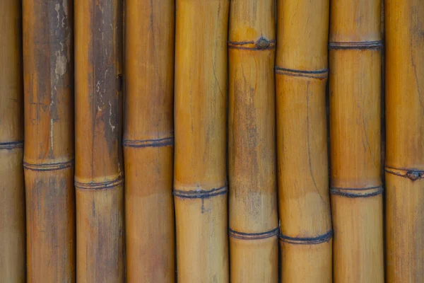 Yellow Bamboo Background Close Wood Texture — 스톡 사진