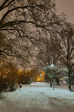 Soğuk bir kış akşamında güzel bir park